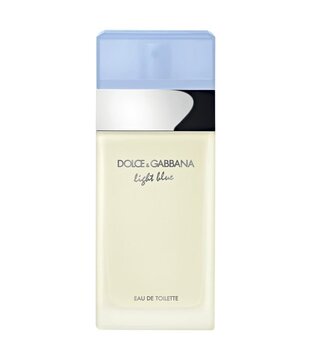 Perfume Dolce & Gabbana Light Blue Feminino Eau de Toilette 100ml